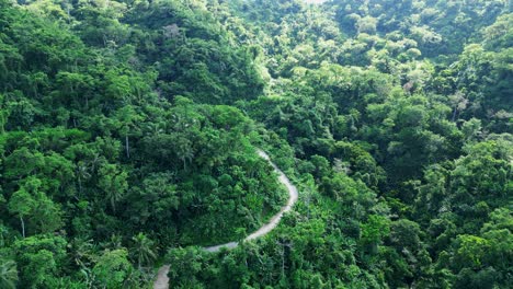 Elevándose-Sobre-Bosques-Espesos-Con-Carretera-Rural-En-Los-Trópicos-Cerca-De-Baras,-Catanduanes,-Filipinas