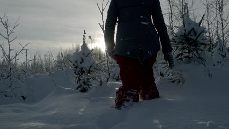 Silhouette-of-female-walking-through-deep-forest-snow-landscape,-back-view