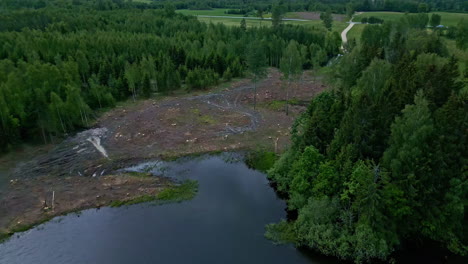 Forest-deforestation-process,-aerial-drone-view