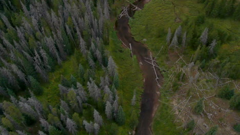 Aerial-cinematic-drone-Piney-Lake-Ranch-stream-river-forest-trees-down-Vail-Beaver-Creek-Avon-Colorado-Gore-Range-mountain-landscape-late-summer-afternoon-rain-clouds-peaceful-calm-looking-down-motion