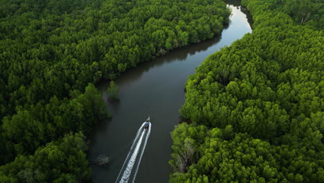 Krabi-mangrove-Aerial-view-of-boat-cruising-river-stream-inside-a-green-natural-rainforest-in-Thailand