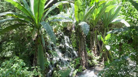 Slow-motion-shot-of-a-waterfall-and-the-river-in-an-area-of-many-plants