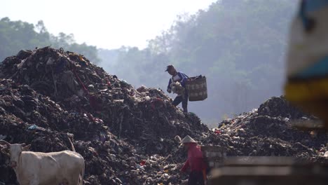 Scavengers-are-looking-for-goods-in-mountains-of-garbage,-Piyungan-final-disposal,-Yogyakarta