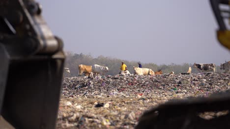 Sie-Können-Menschen-Und-Kühe-In-Einem-Aufgetürmten-Müllhaufen-Sehen,-Der-Sich-Auf-Der-Piyungan-Deponie-In-Yogyakarta-Befindet