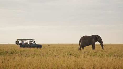 Slow-Motion-Shot-of-4x4-jeep-close-to-large-elephant-on-the-horizon-watching-on-safari-adventure-travel,-African-Wildlife-in-Maasai-Mara-National-Reserve,-Kenya,-Africa-Animals-in-Masai-Mara