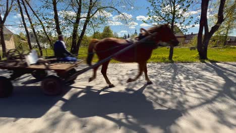 Pferdekutsche-Fährt-Auf-Leerer-Straße-Im-Baltischen-Dorf-Vorbei