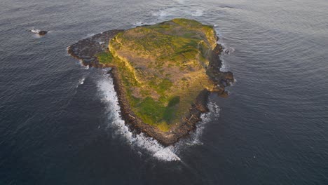 Cook-Island-Near-Fingal-Head-In-New-South-Wales,-Australia---aerial-shot