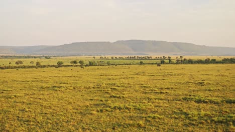 Afrika-Luftaufnahme-Der-Wunderschönen-Savannenlandschaft-Der-Masai-Mara-In-Kenia,-Flugansicht-Mit-Dem-Heißluftballon-Von-Oben,-Flug-über-Weite,-Weite-Ebenen-Und-Atemberaubende-Landschaft,-Weit-Oben-Geschossen