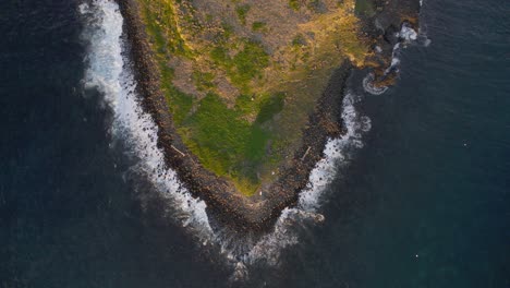 Bird's-Eye-View-Over-Cook-Island-With-Rocky-Shore-In-NSW,-Australia---drone-shot
