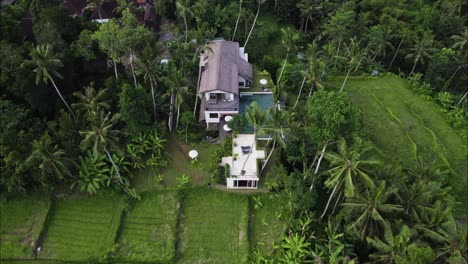 Tropical-Bali-Villa-in-Lush-Jungle-by-Rice-Fields---Aerial-Drone