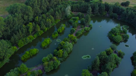 Densely-Wooded-Island-In-A-Fishing-Pond-In-Norfolk,-UK---aerial-shot