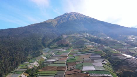 Panoramic-establishing-view-over-terraced-plantation-on-mount-sumbing,-Indonesia