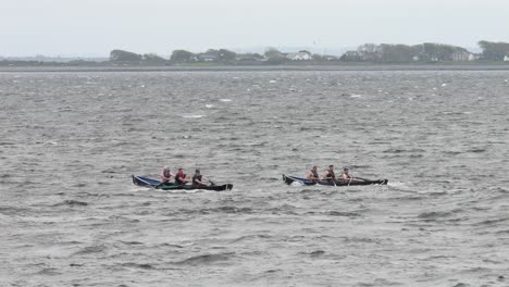 Slow-motion-shot-of-rowing-in-currach-traditional-irish-boats-in-open-water-bay