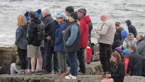 Group-of-people-gather-on-ladies-beach-seawall-gazing-out-into-ocean-watching