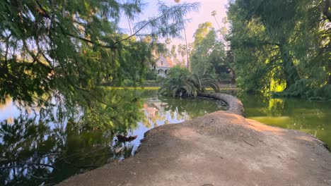 A-dirt-path-to-a-fallen-palm-tree-revealing-a-Queen-Anne-Cottage-across-a-pond