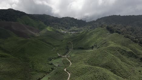 Lush-tea-plantation-in-mountainous-Cameron-Valley-in-Malaysia,-aerial