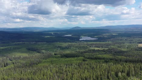 Basking-in-Beauty:-An-Aerial-Glimpse-into-Smithers'-Forests-and-Hilly-Landscape