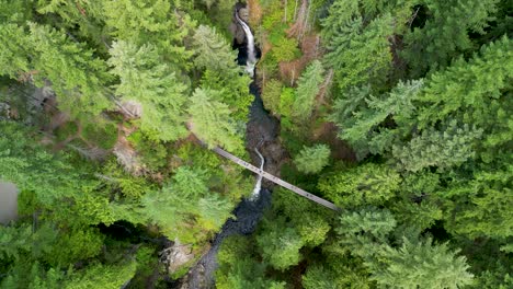 Aerial-topdown-pan-of-Lynn-Canyon-Suspension-bridge-and-waterfall,-Vancouver,-BC,-Canada