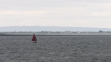Slow-motion-shot-of-galway-hooker-sailing-through-bay-off-coast-of-ireland,-birds-fly-by-in-slow-motion