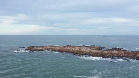 Luftdrohnenaufnahme-Einer-Gruppe-Von-Seelöwen,-Die-Auf-Einer-Insel,-Cabo-Polonio,-Uruguay,-Ruhen
