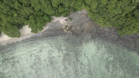 Aerial-looks-straight-down-onto-sandy-bedrock-beach,-tropical-forest