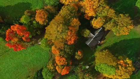 Aerial---Top-view-of-cabin-in-forest-on-sunny-autumn-day