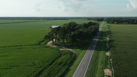 Panoramic-aerial-across-vast-corn-fields,-traffic-passing-on-highway,-central-Arkansas