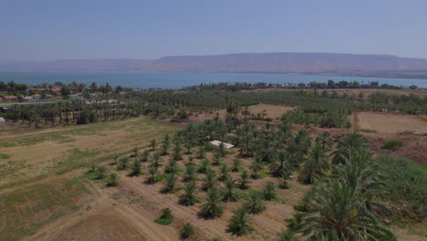 The-shores-of-the-Sea-of-Galilee-and-the-Golan-Mountains-from-Kibbutz-Kinneret-plantations