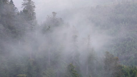 Dorf-Enthüllt-Luftaufnahme-Inmitten-Stimmungsvoller-Bergwälder-Mit-Teleobjektiv-4k