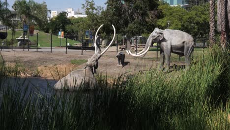 A-view-of-the-world-famous-La-Brea-Tar-Pit-with-statues-of-wooly-mammoths-with-one-trapped-in-the-tar-pit,-in-Los-Angeles,-California