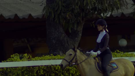 Equitación-Ecuestre-Femenina-En-Picadero-De-Caballos