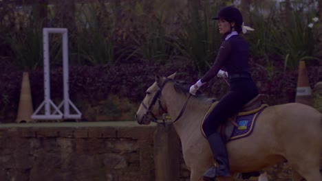 Equestrian-Riding-a-brown-horse-in-countryside,-slow-motion