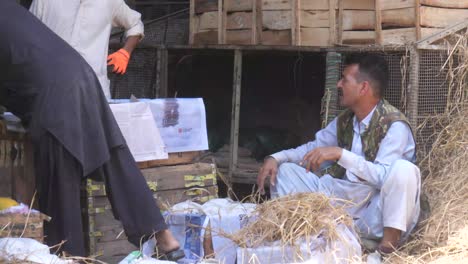 Nahaufnahme-Einer-Arbeitskraft,-Die-Tagsüber-Früchte-Auf-Einem-Obstgroßmarkt-In-Karatschi,-Pakistan,-Sortiert