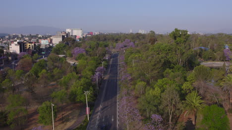 Aerial-birds-eye-view-fly-over-motorcyclist-and-car-driving-in-Chapultepec-district-city-suburbs