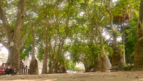 Menschen-Sitzen-Und-Mann-Joggen-Im-Garten-Von-Joao-Chagas-In-Porto,-Portugal