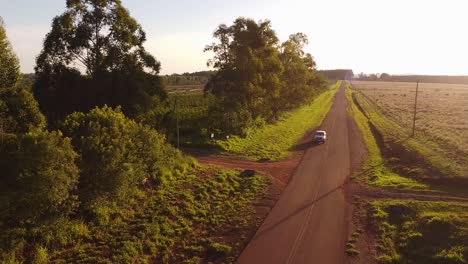 Aerial-View-of-truck-on-Road-Entering-Yerba-Mate-Plantation-in-Misiones,-Argentina