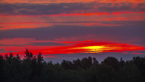 Roter-Sonnenuntergang-Am-Himmel-über-Einem-Wald-Am-Horizont