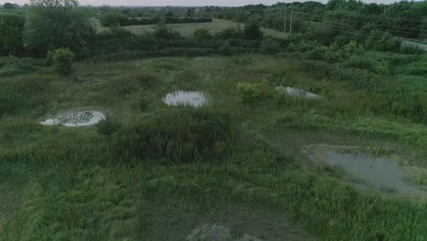 Sunset-aerial-shot-flying-across-newt-ponds-at-Mouldon-Hill-Country-Park-in-England