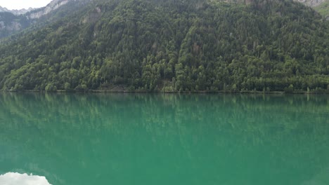Wide-angle-shot-of-Klontalersee-lake-with-lush-green-Alpine-flora,Switzerland