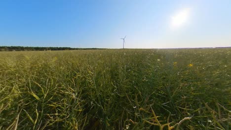 Slomo-Hacia-La-Turbina-Del-Parque-Eólico-En-Los-Campos-Agrícolas-En-Un-Día-Soleado-De-Verano