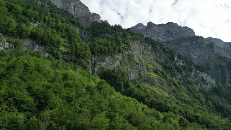 Majestätische-Felsige-Berglandschaft-Aus-Niedrigem-Winkel,-Bedeckt-Mit-Viel-Grün