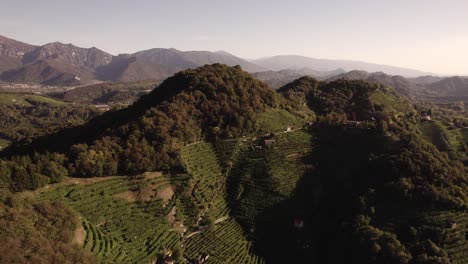 Luftlandschaftsansicht-über-Die-Berühmten-Prosecco-Hügel-Mit-Vielen-Weinbergreihen-Und-Bergen-Im-Hintergrund,-Italien