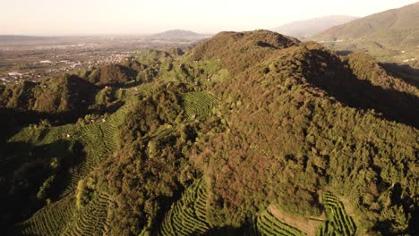 Luftpanorama-Landschaftsansicht-Der-Berühmten-Prosecco-Hügel-Mit-Vielen-Weinbergreihen-In-Der-Italienischen-Landschaft