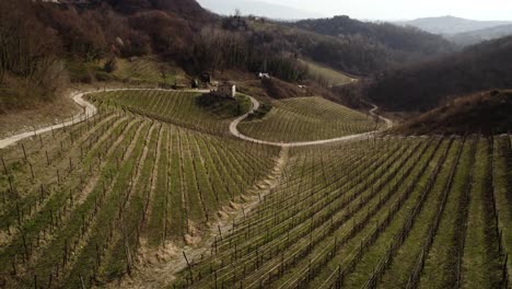 Aerial-landscape-view-of-vineyard-rows-in-the-prosecco-hills,-Italy,-on-a-winter-day