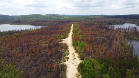 Slow-Aerial-Forward-Shot-Showing-Devastation-Caused-By-Canadian-Wildfires-Near-Lebel-sur-Quévillon,-Quebec