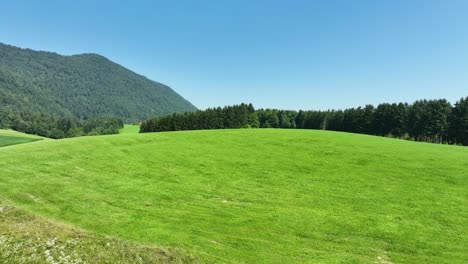 Slow-motion-aerial-shot-revealing-a-vibrant-green-meadow-surrounded-by-forests-and-hills