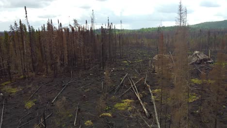 Aerial-Fly-Through-Destruction-Caused-By-Forest-Wildfires,-Quebec-Canada