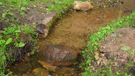 Ausländische-Touristen-Bewundern-Die-Sigulda-Kaskade-In-Gutmans-Höhle-In-Lettland