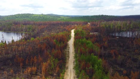 Drohnenflug-über-Riesigem-Kanadischen-Baumwald-In-Der-Region-Quebec,-Der-Die-Nachwirkungen-Des-Verheerenden-Feuers-Enthüllt,-Malerische-Landschaft,-Die-Dem-Feuer-Gewidmet-Ist