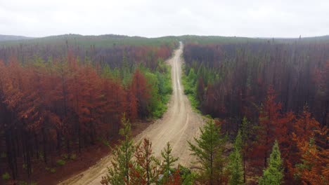 Drone-descends-tilt-up-along-mountain-pass-road-lined-with-burnt-black-trees-during-light-rain,-Lebel-Sur-Quevillon,-Quebec,-Canada,-forest-fire-aftermath